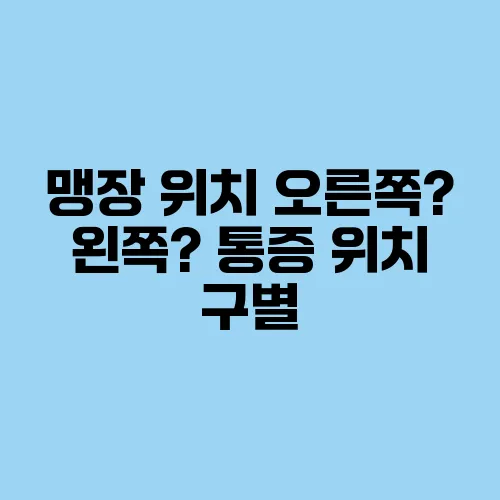 맹장 위치 오른쪽? 왼쪽? 통증 위치 구별