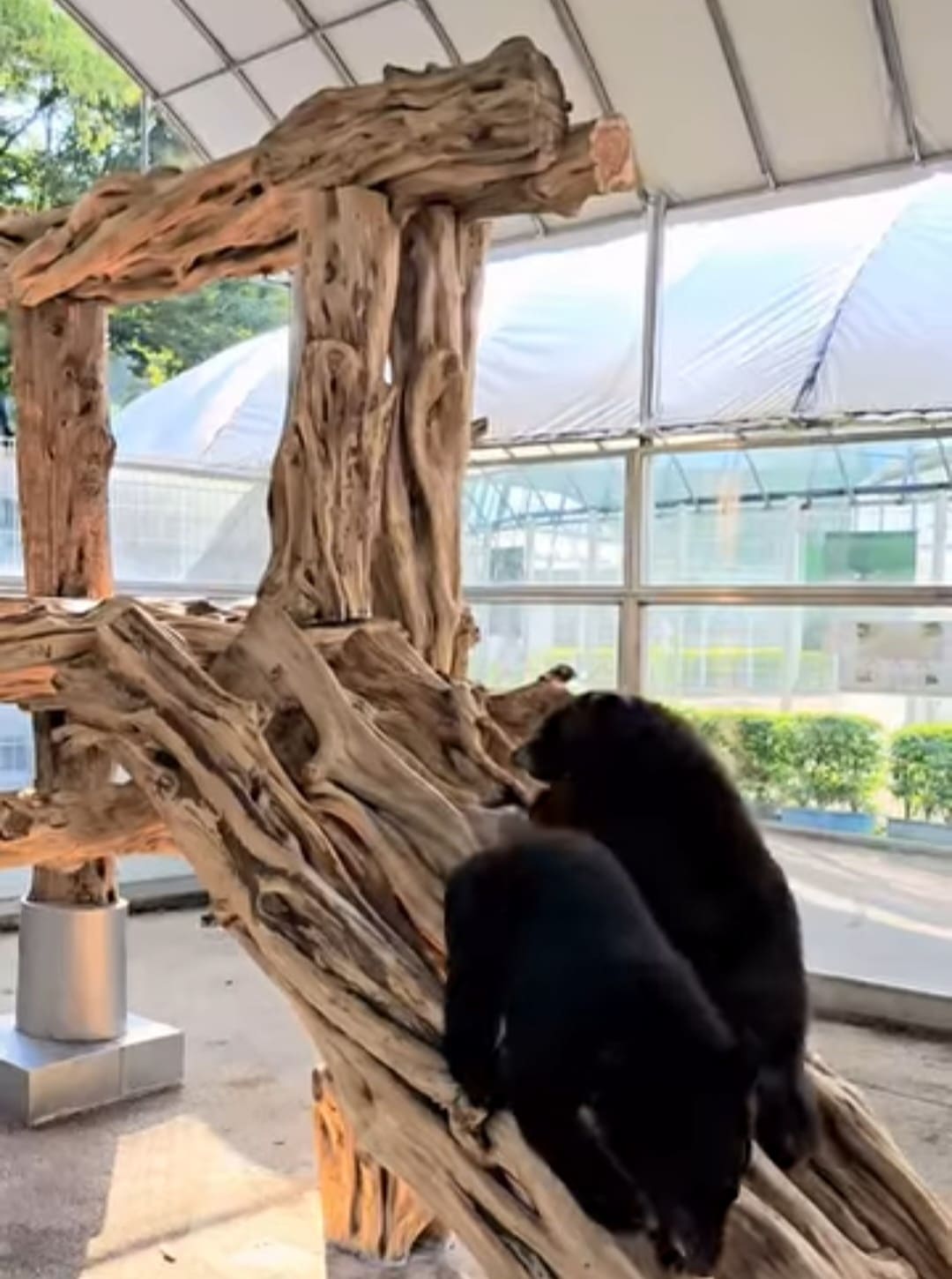 베어트리파크 단풍축제 할인&amp;#44; 맛집&amp;#44; 주차장