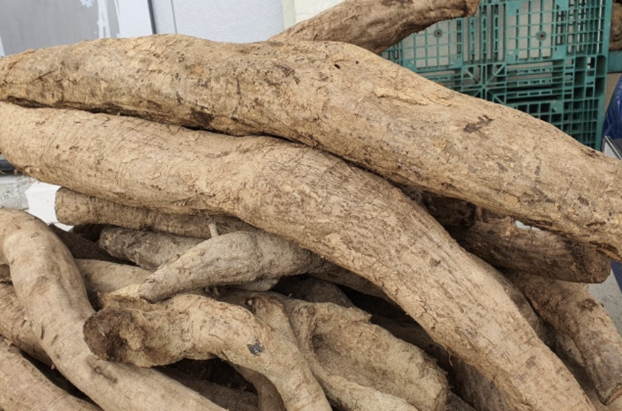 칡 효능 부작용