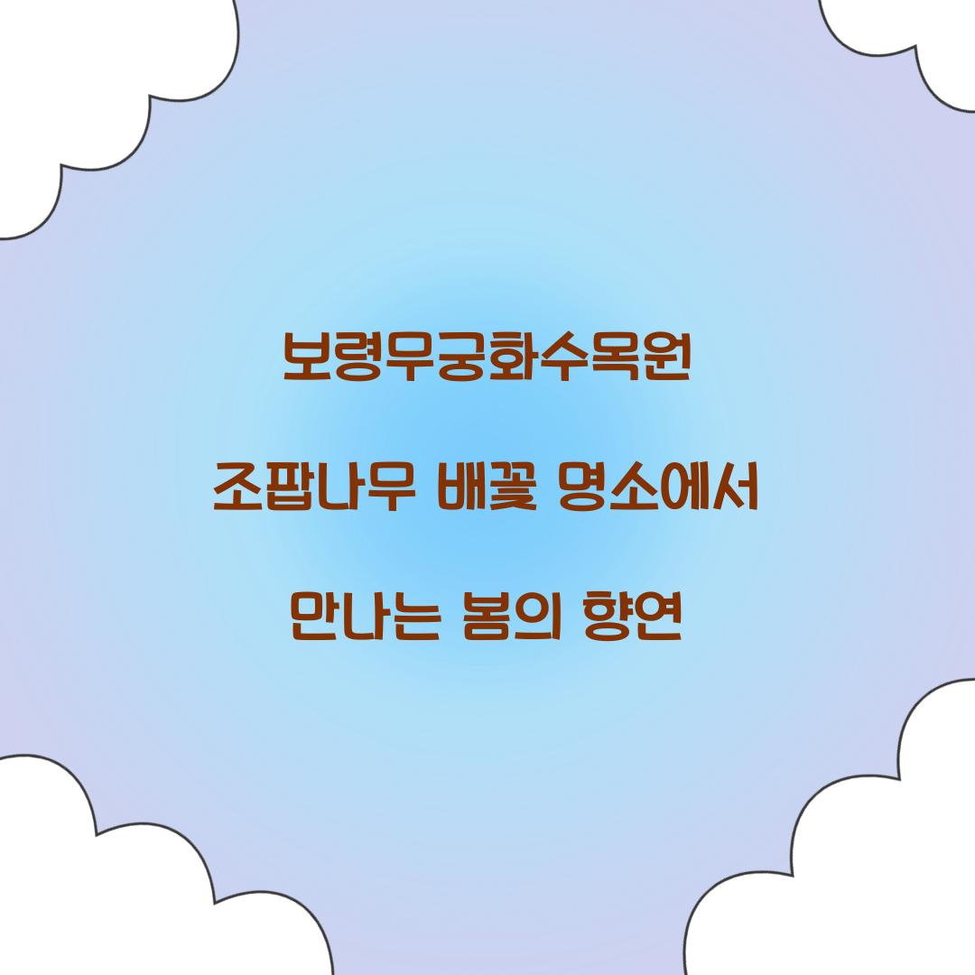 보령무궁화수목원 조팝나무 배꽃 명소