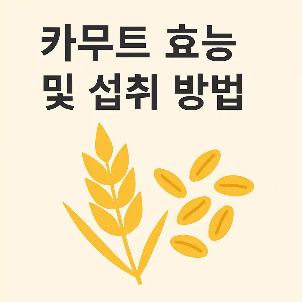 카무트-효능