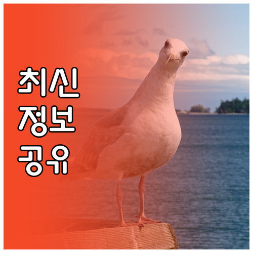 노령견 성장기 영양제, 어떤 것을? ..