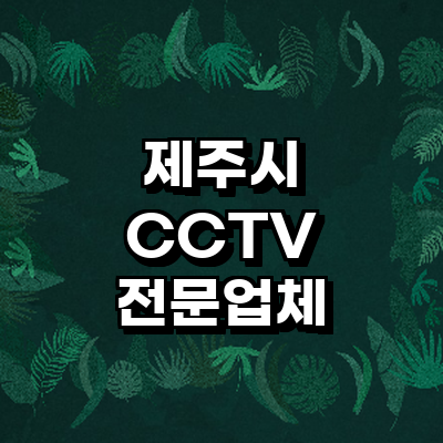 제주 제주시 cctv