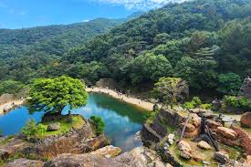 숙박세일페스타