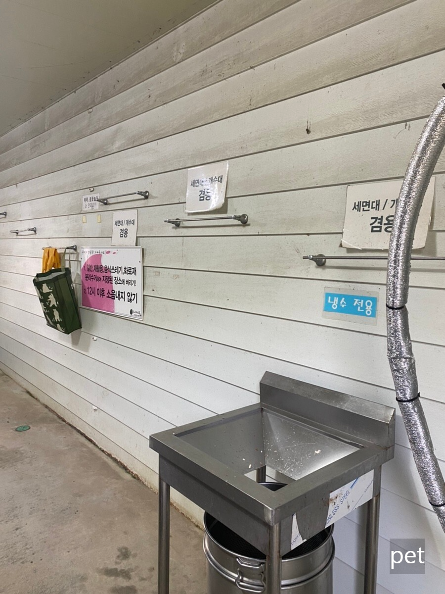 경기-파주-느티나무-그늘아래-캠핑장-예약-방법-애견-동반-가격-주소-시간-후기