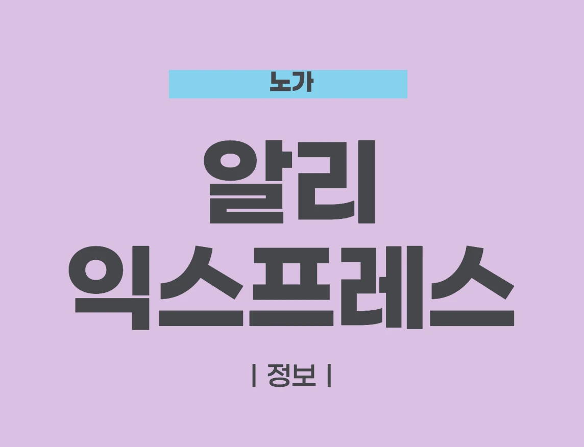 알리 익스프레스