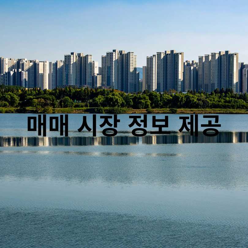 서울주택 정보마당 완벽 가이드