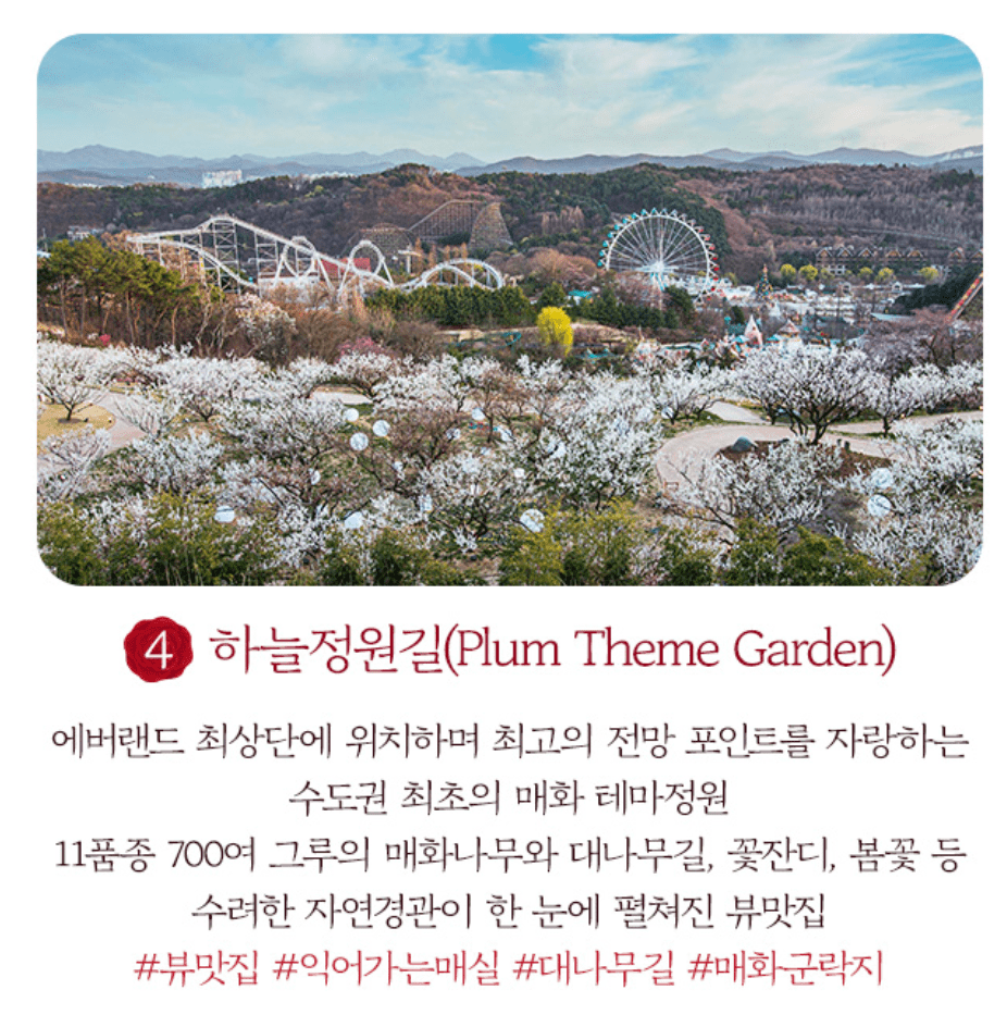에버랜드 장미축제 입장료 가든패스 할인 기간 주차장 꿀팁