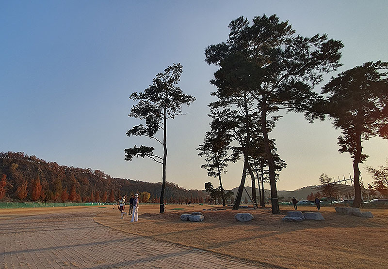 영천조교파크골프장. 경상북도 영천시 조교동 51-1