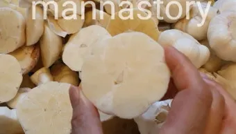 통마늘 지퍼백 보관 효과 오래 보관하는 방법_11