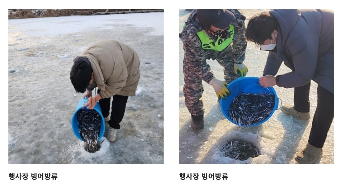양평 산수유마을 빙어축제, 입장료 및 기본정보, 양평 산수유마을에서 제5회 빙어 축제가 열렸다고 합니다.
