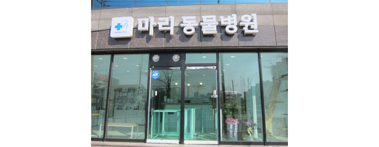 영주시 동물병원