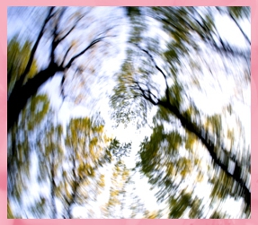 멀미가 날 듯 빙글거리면 돌아가는 모습