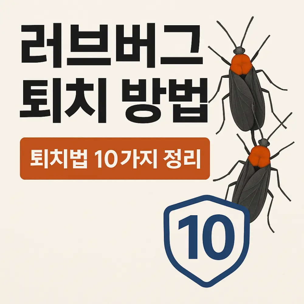 러브버그 퇴치방법 썸네일