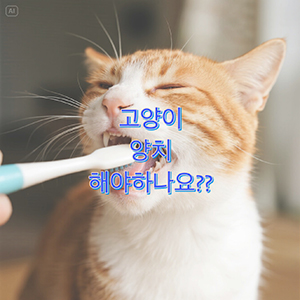 고양이 양치, 꼭 필요한가? 방법과 관리법 총정리