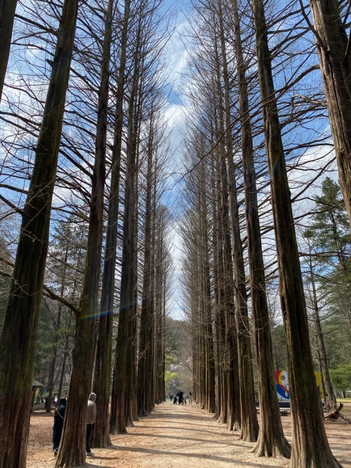 겨울연가 촬영지중 한 곳