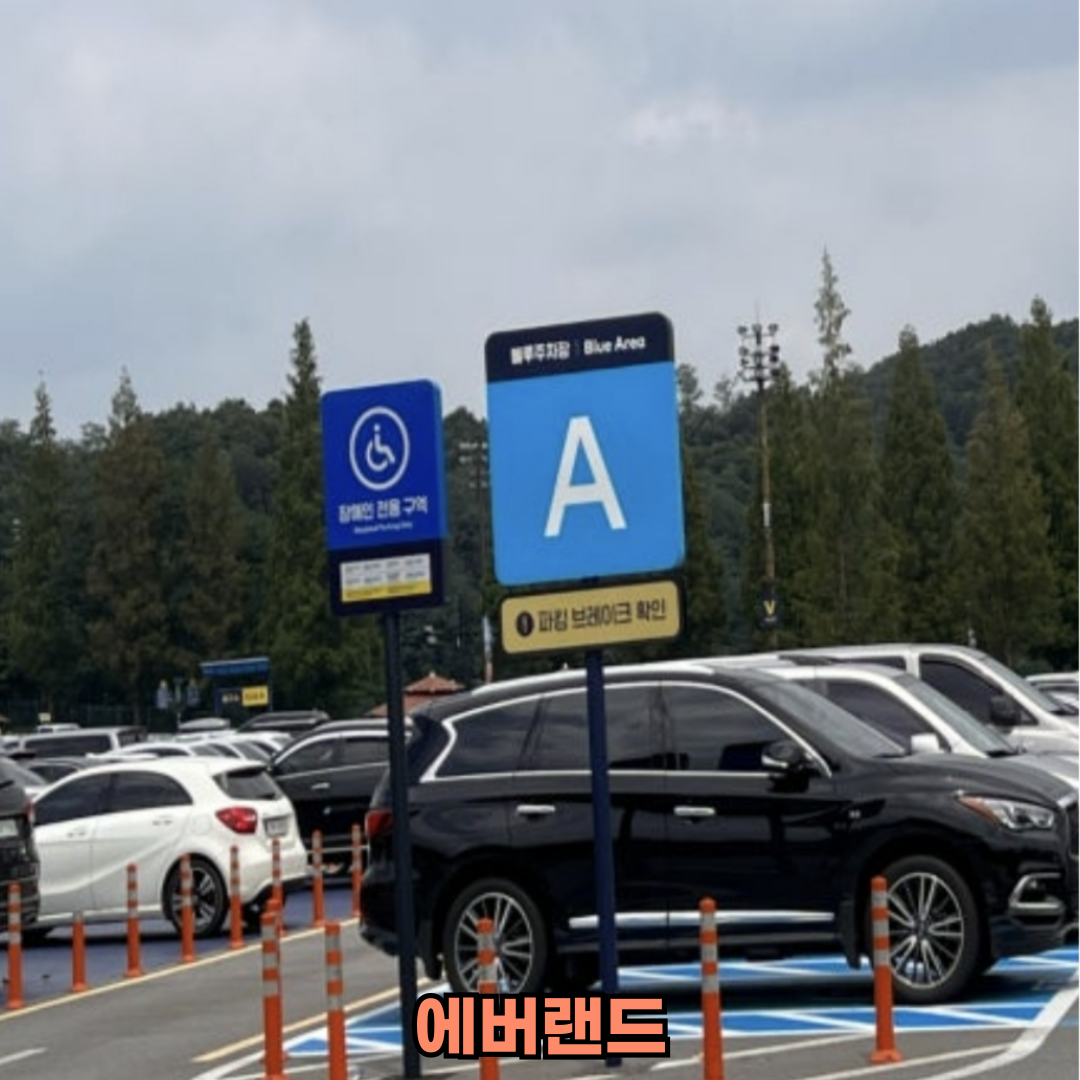 에버랜드 주차