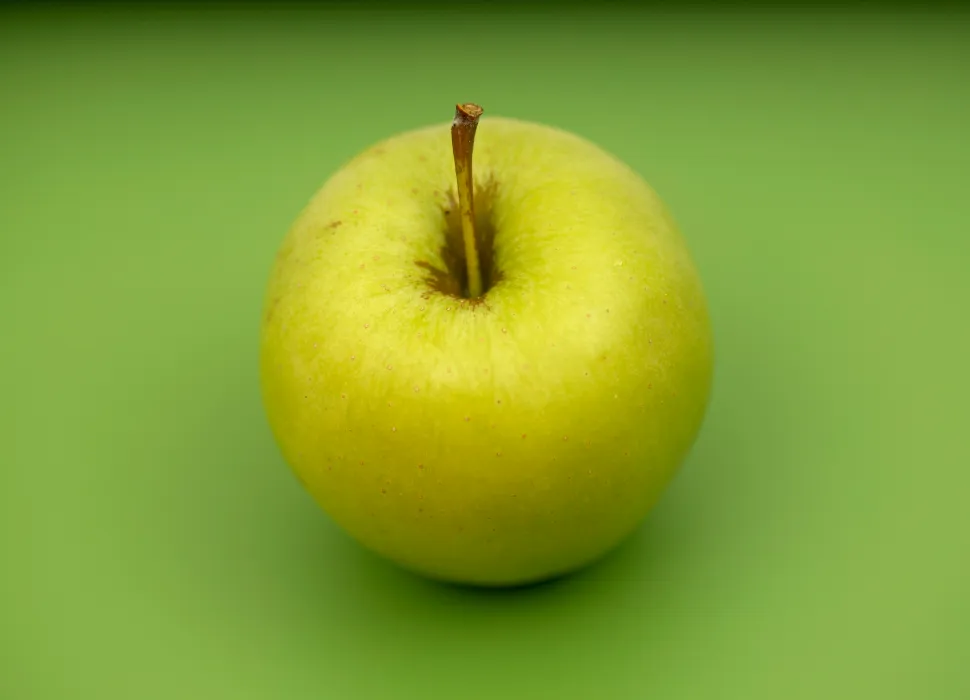 아오리-사과-사진