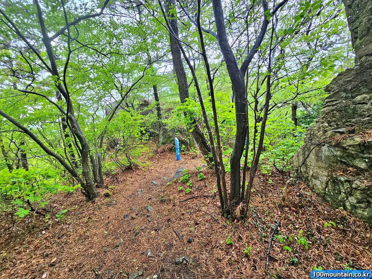 능선 2