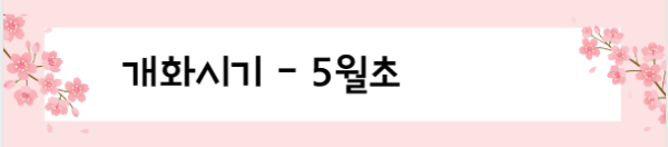 봄꽃 여행지