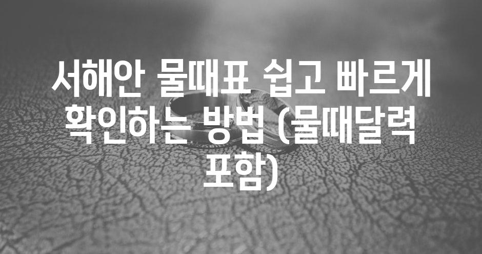 샘플 (68)