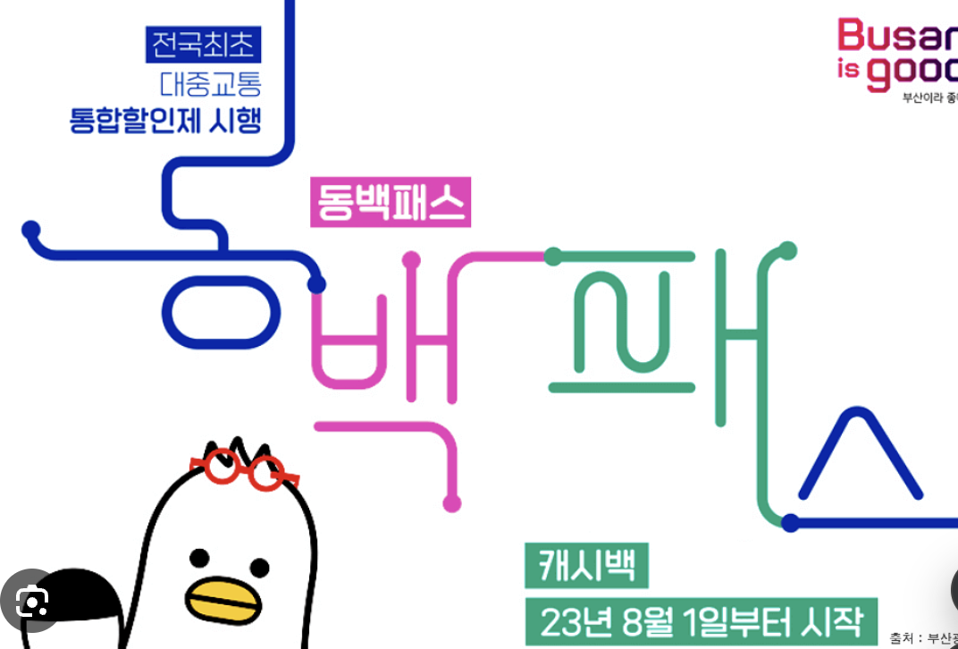 청소년 동백패스 설명 이미지