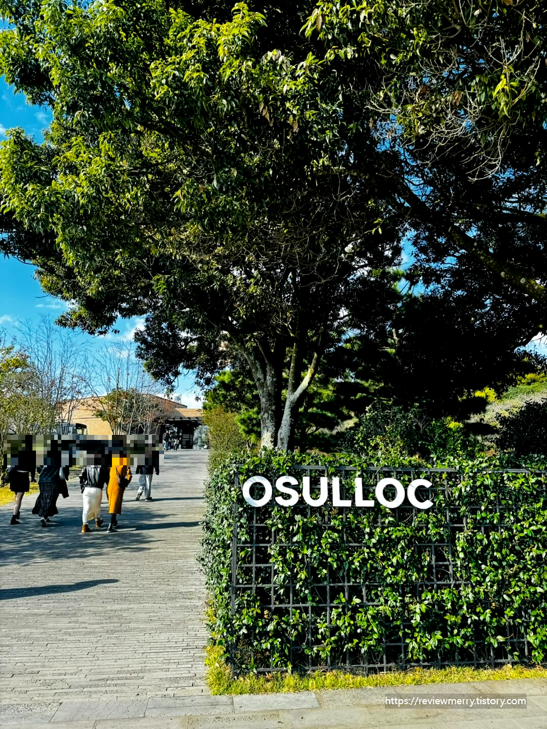 제주오설록 사진