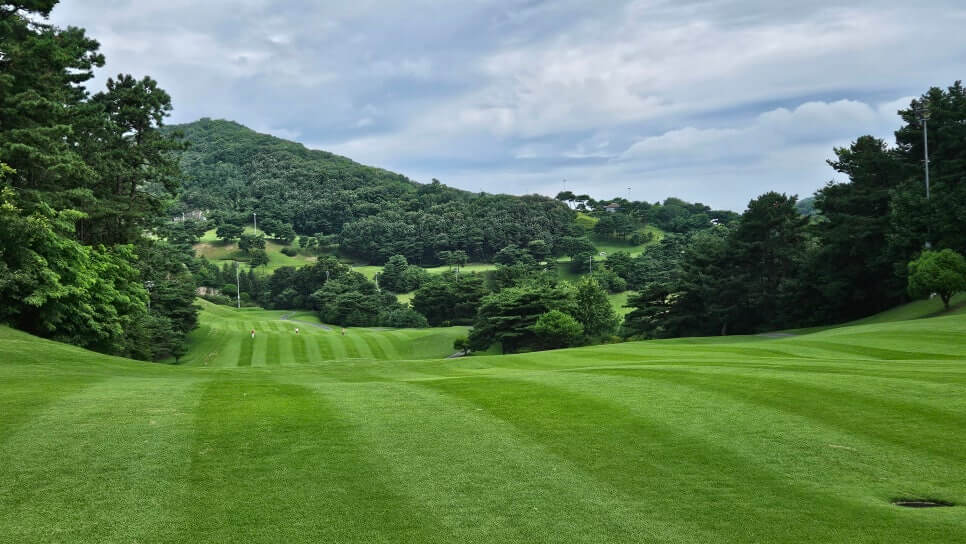 골프장 경험담 음성 썬밸리cc 페어웨이와 전략적 코스 설계의 정석