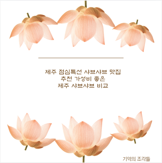 제주 점심특선 샤브샤브 맛집 추천 가성비 좋은 제주 샤브샤브 비교