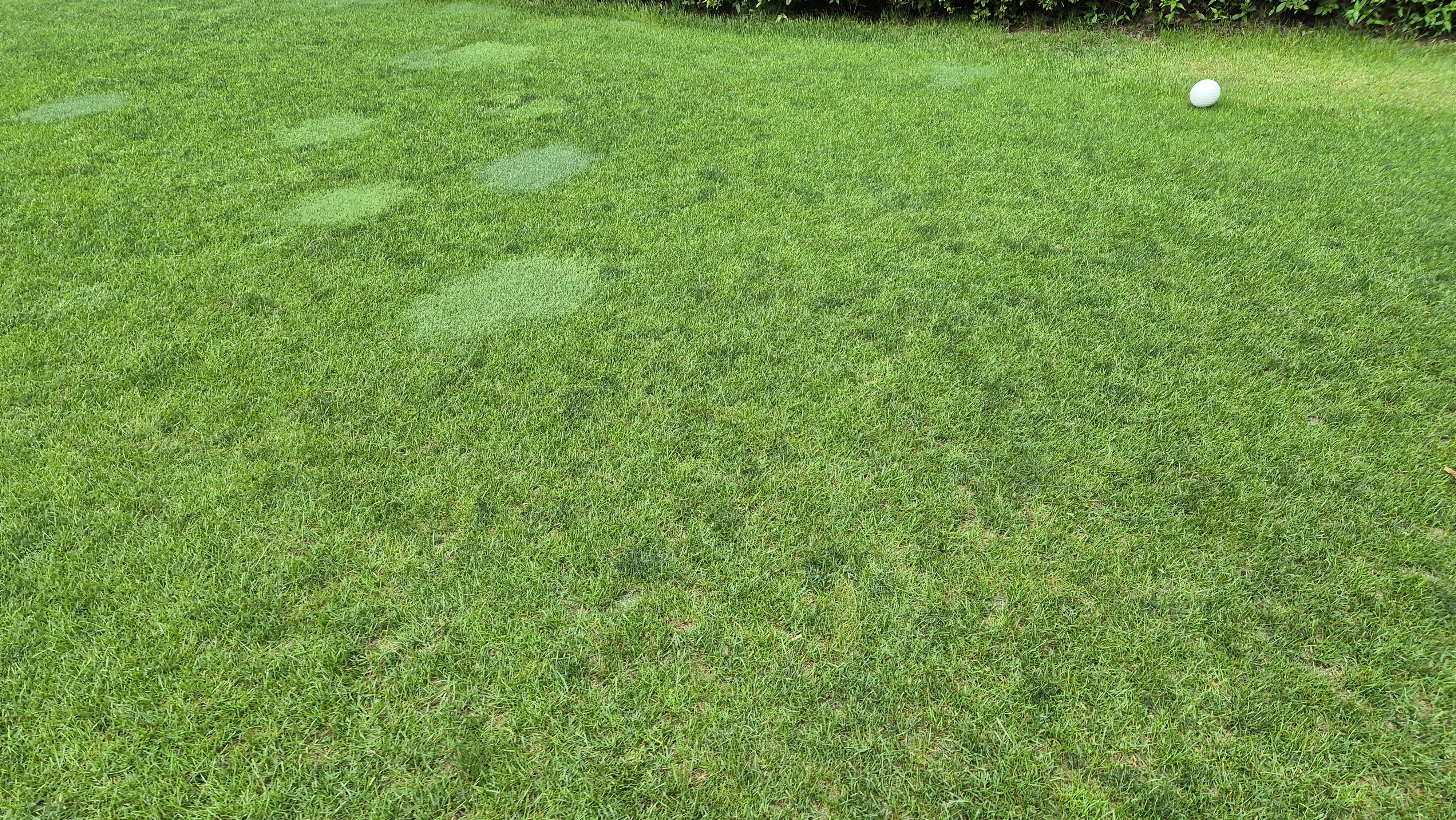 뉴스프링빌cc 라운드 후기