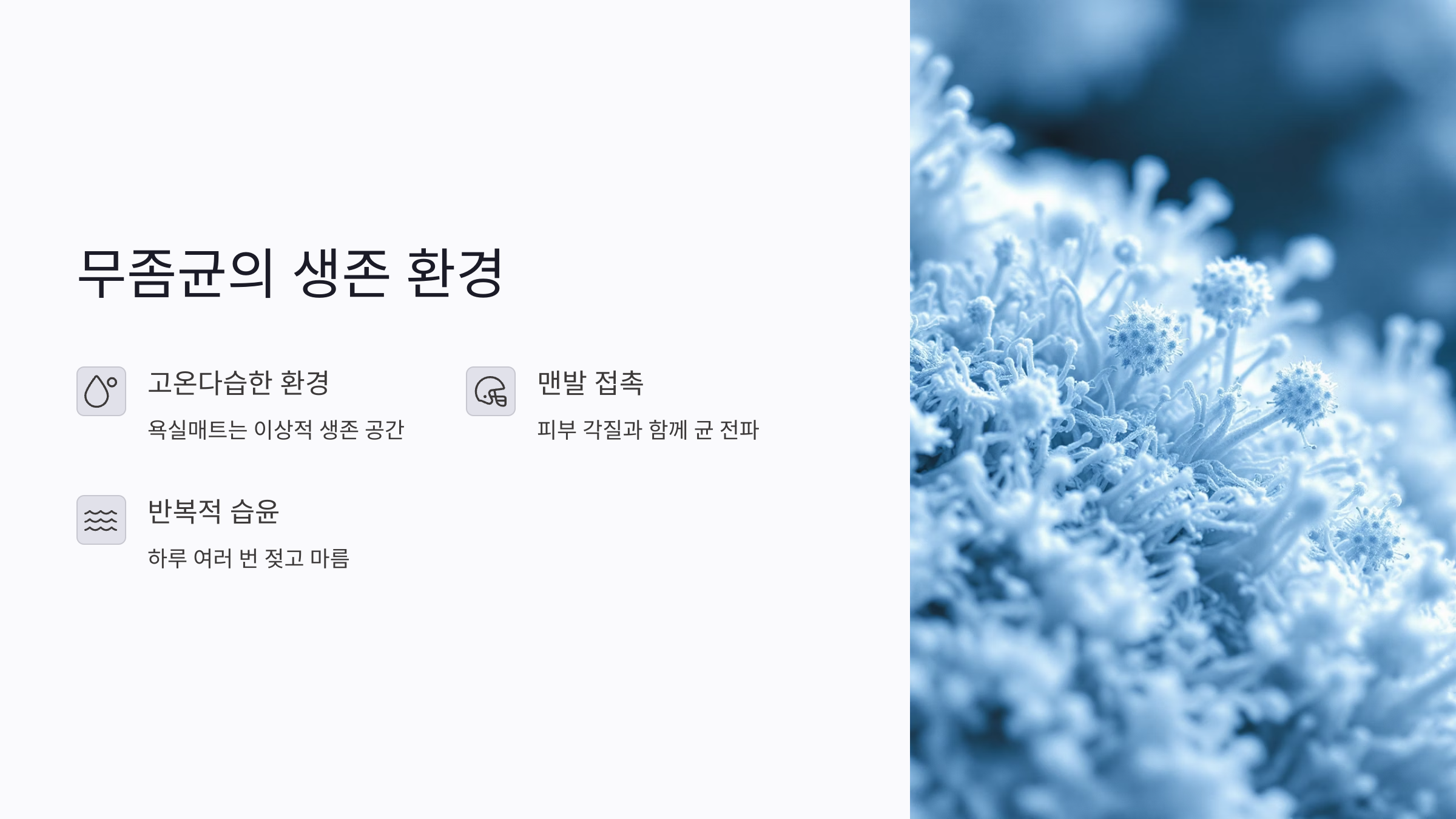 욕실매트 감염을 막기 위한 교체 주기와 기준