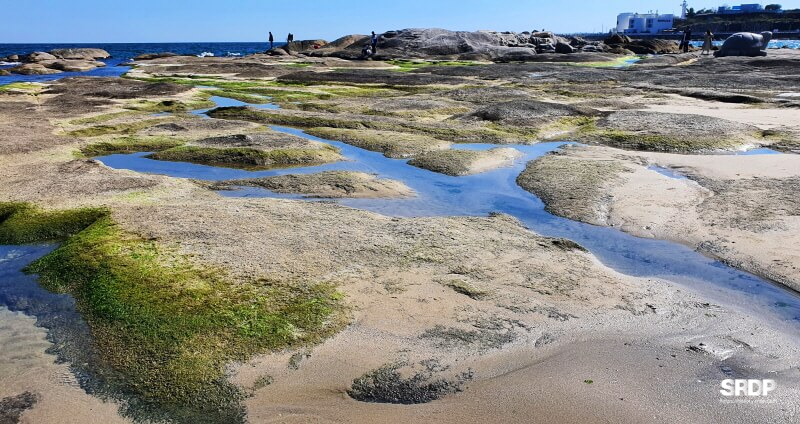 아야진-해변-해수욕장-스위밍터틀-강원도-고성-오션뷰-카페