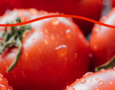 지방간에 좋은 음식 10