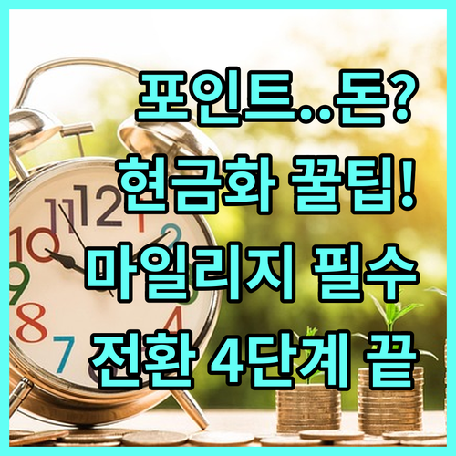 신용카드 포인트 현금 마일리지 전환 ..