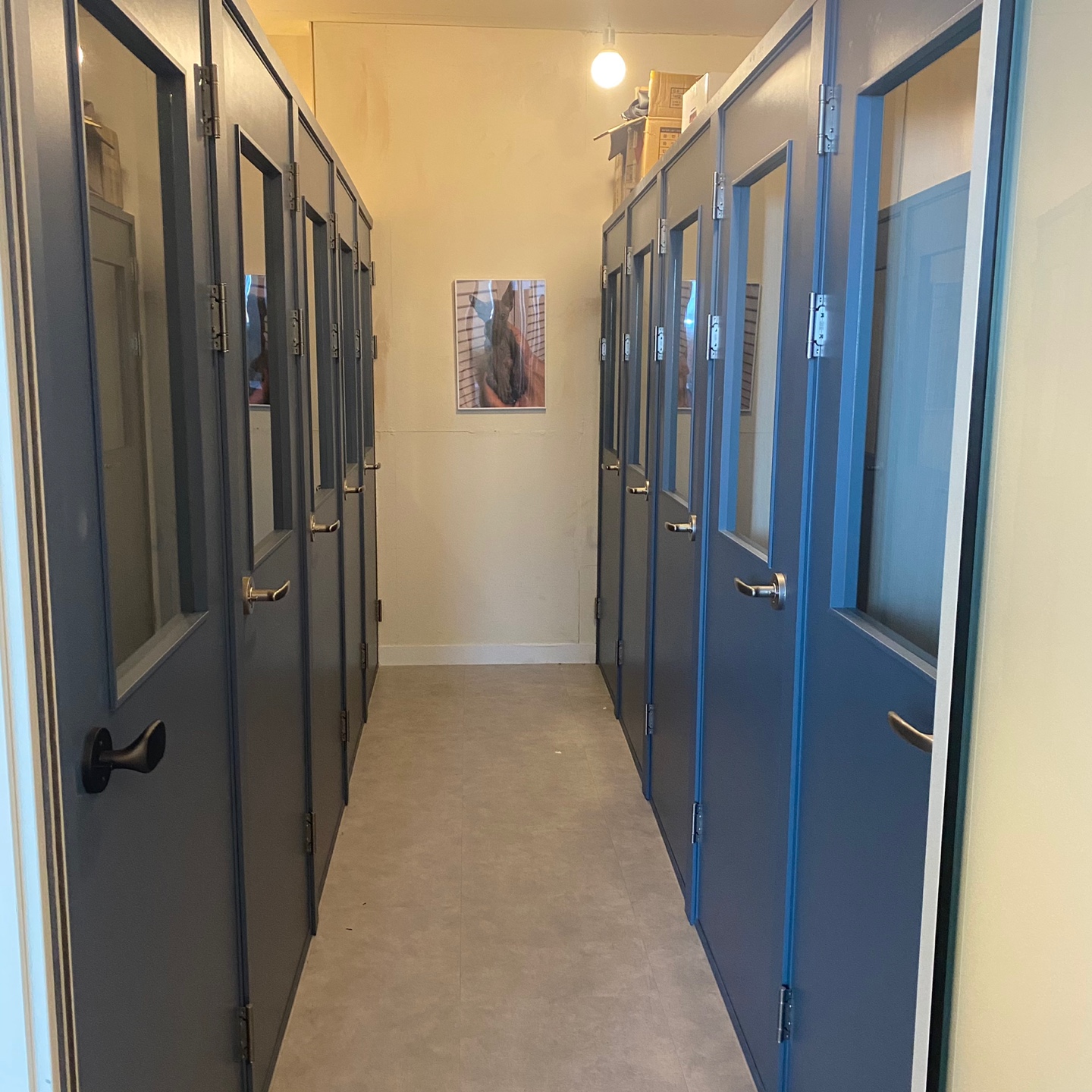 순복이네스핑크스 고양이호텔