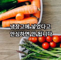 냉장고 음식 보관 기간과 자취생 음식 보관법