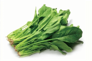 탈모에 좋은 음식13