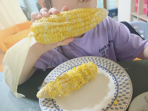 초당옥수수 전자레인지 찌는법 보관법 냉동 초당옥수수 먹는법