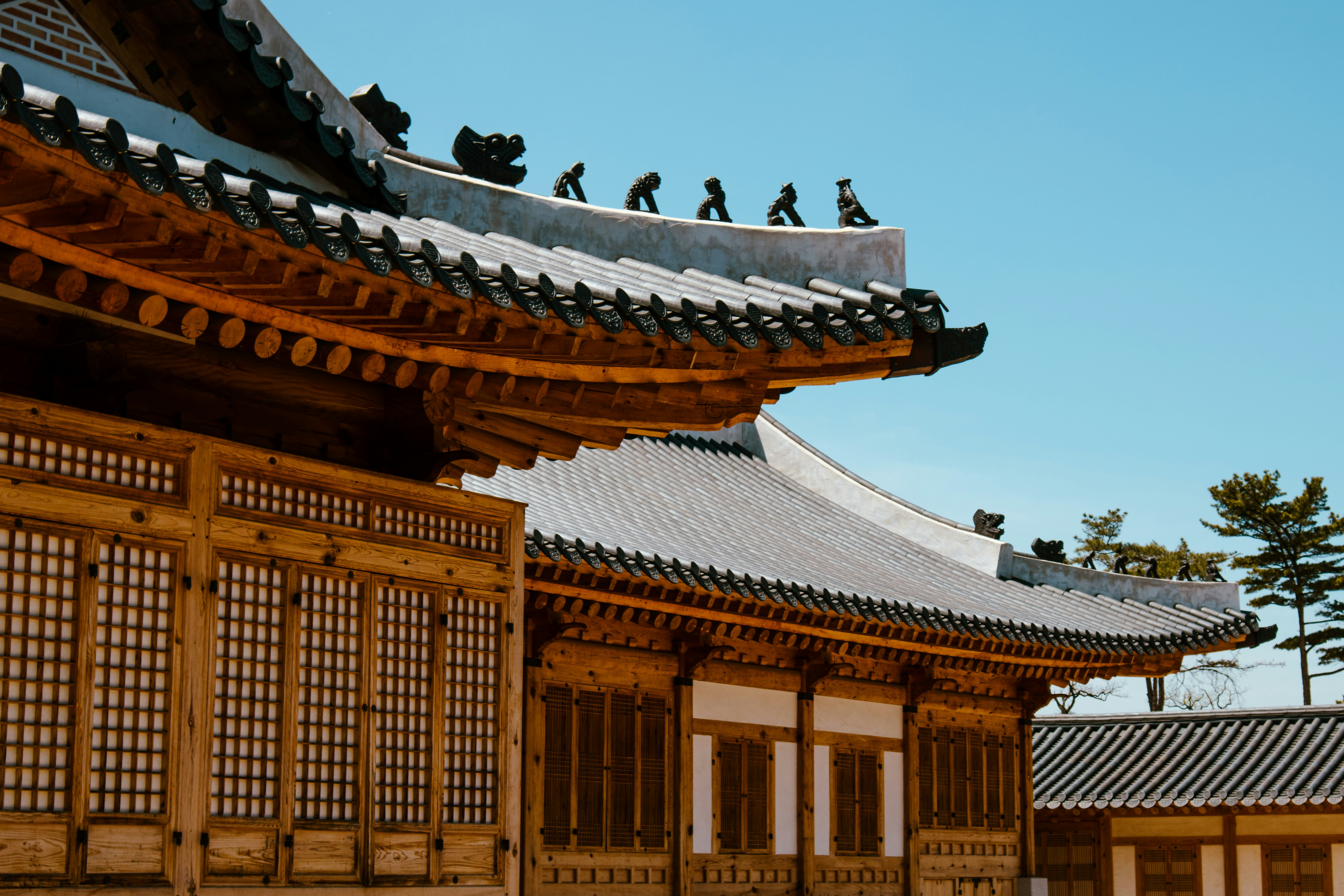 2024 경복궁 야간개장 인터넷예매