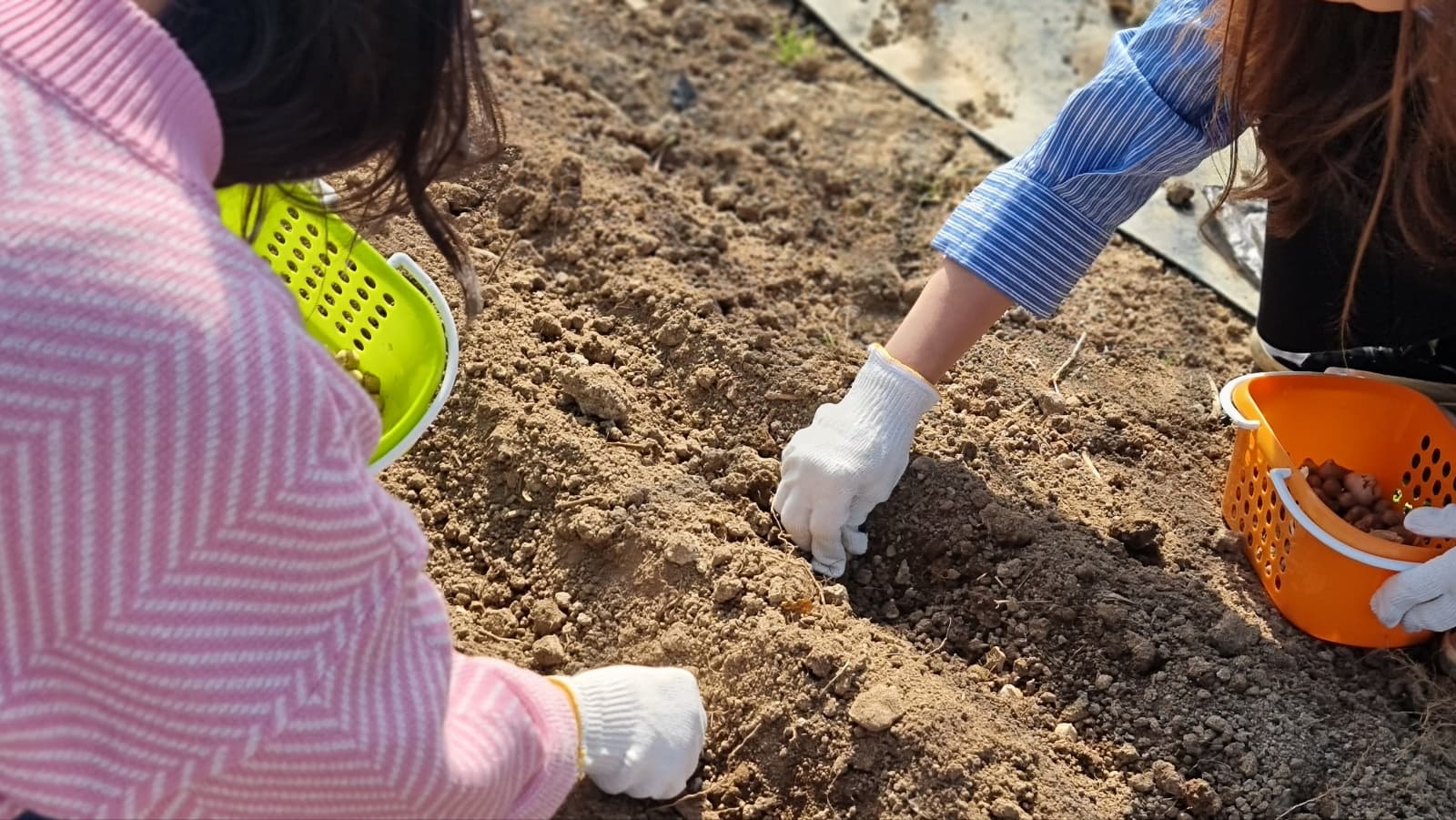 텃밭 준비물과 공간 만들기 – 집, 학교, 체험장에서 가능한 구성