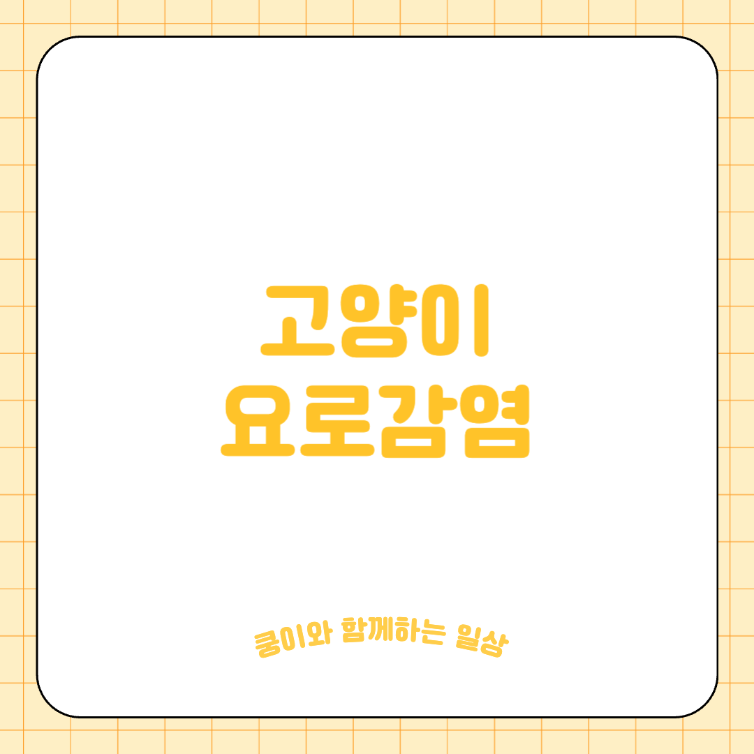 고양이 요로감염