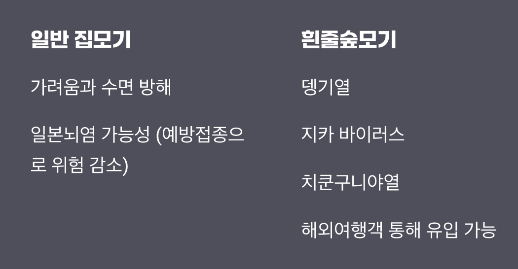 단순 가려움 vs 치명적인 질병