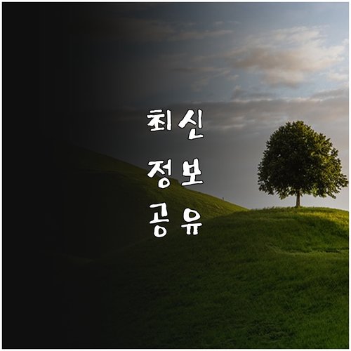 2025 속초시 출산장려금 누가 받나..