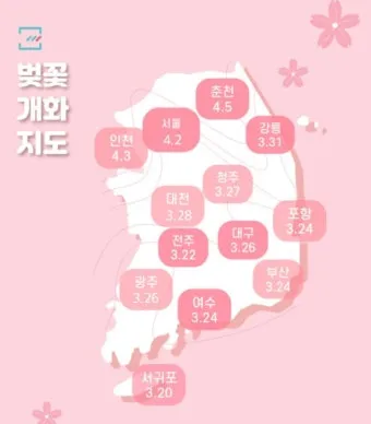 벚꽃 개화 실시간 확인 cctv_2