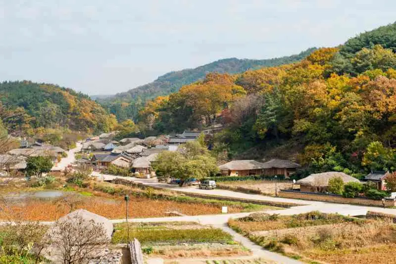 경주의 고풍스러운 사찰 탐방, 마음의 평화를 찾아서