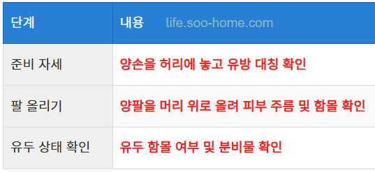 거울을 통한 시각적 검사