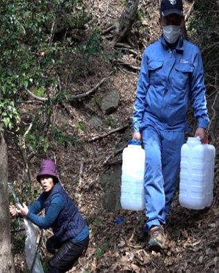 한국기행-울릉도-고로쇠