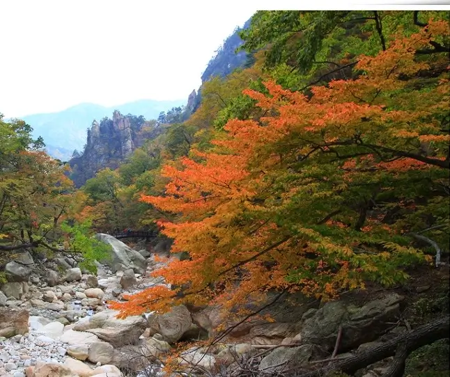 설악산 단풍