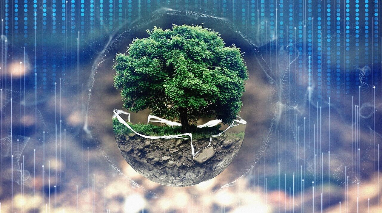 로컬샵 이용후기