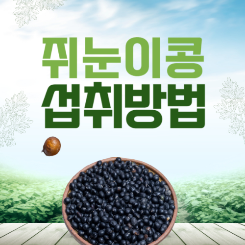 쥐눈이콩 효능